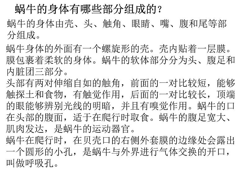 教科小学科学三上《2.2、蜗牛(一)》PPT课件(1)第7页