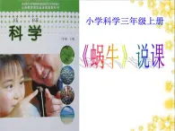 教科小学科学三上《2.2、蜗牛（一）》PPT课件(15)