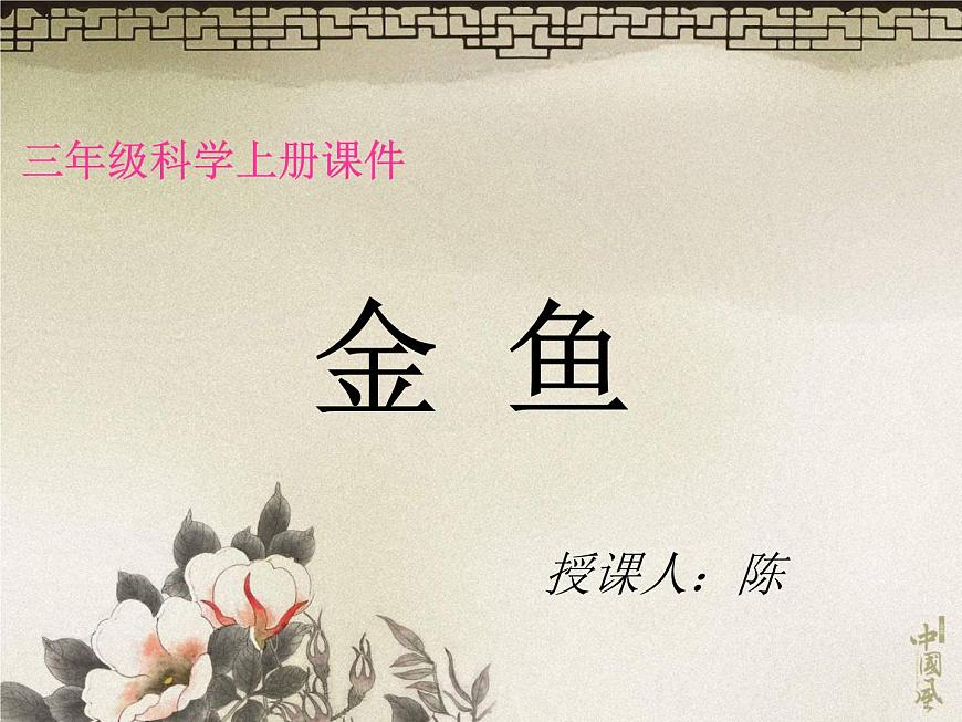 教科小學(xué)科學(xué)三上《2.6、金魚(yú)》PPT課件(17)第1頁(yè)