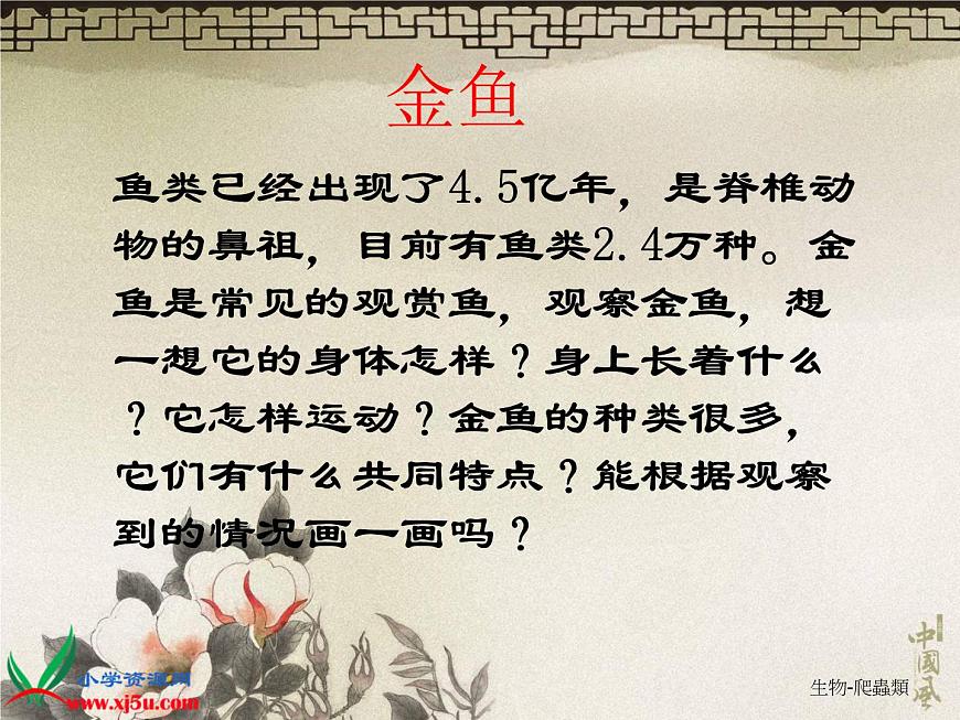 教科小學(xué)科學(xué)三上《2.6、金魚(yú)》PPT課件(17)第2頁(yè)