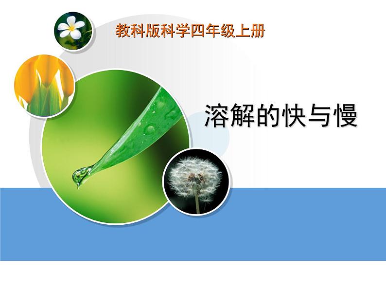 教科小学科学四上《2.5、溶解的快与慢》PPT课件(1)第1页