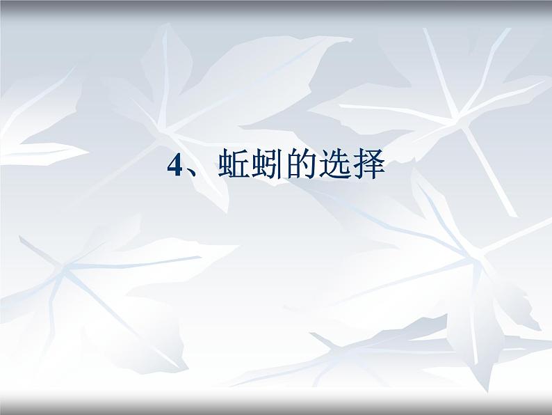 教科小学科学五上《1.4、蚯蚓的选择》PPT课件(6)第1页