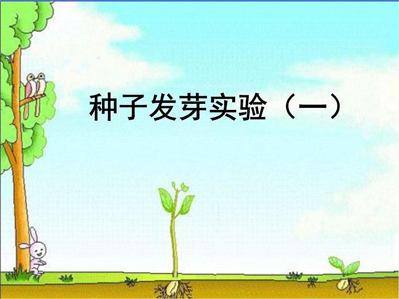 教科小学科学五上《1.1、种子发芽实验(一)》PPT课件(4)01