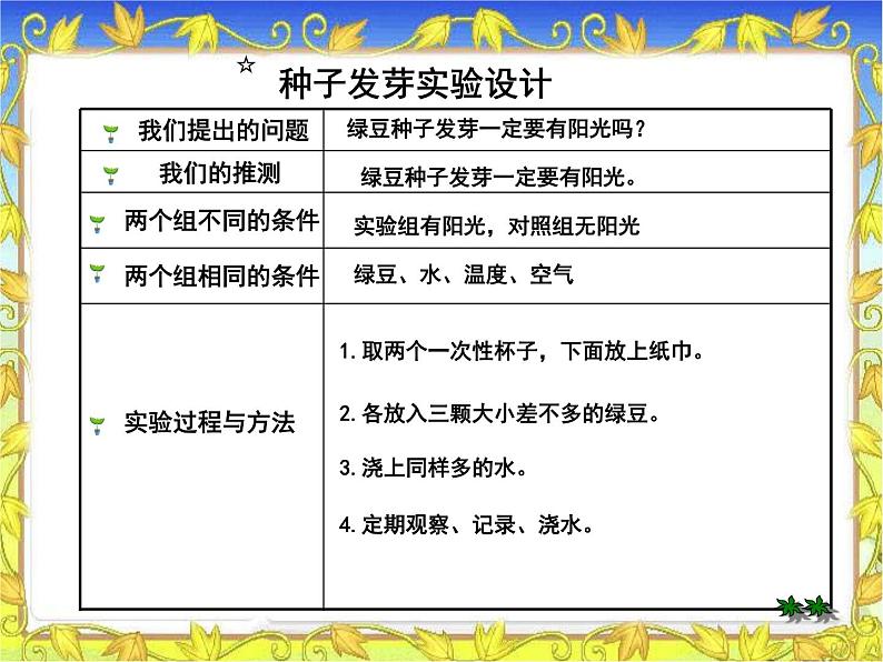 教科小学科学五上《1.1、种子发芽实验(一)》PPT课件(4)04