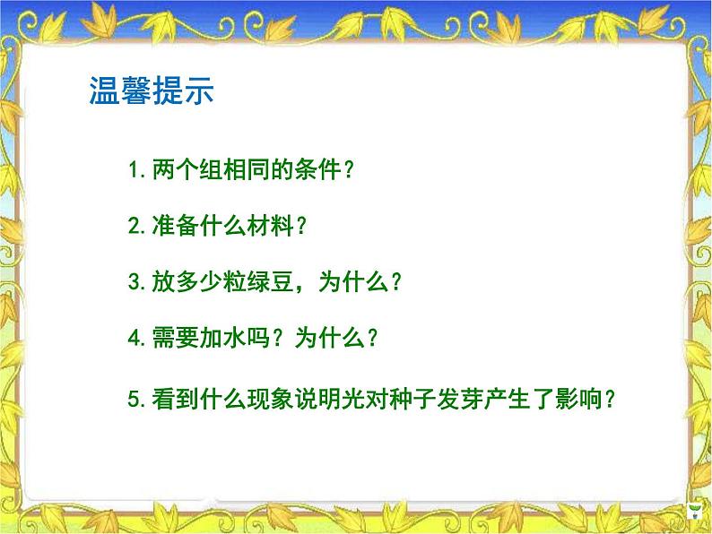 教科小学科学五上《1.1、种子发芽实验(一)》PPT课件(4)05