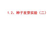 种子发芽实验（二）PPT课件免费下载