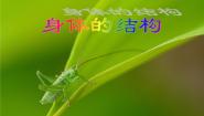 2020-2021学年1、身体的结构图文ppt课件
