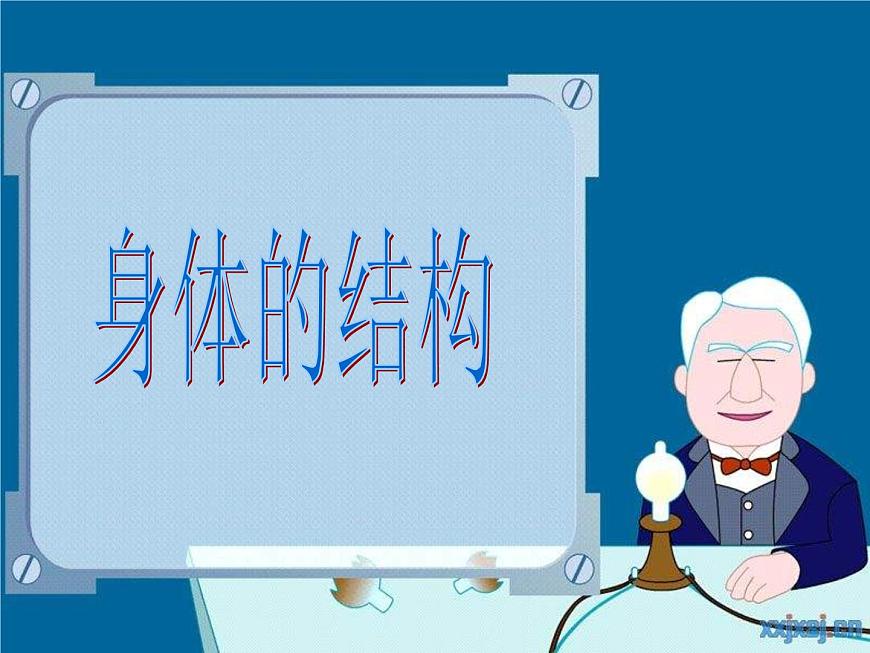 教科小學(xué)科學(xué)四上《4.1、身體的結(jié)構(gòu)》PPT課件第3頁(yè)