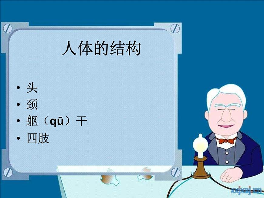 教科小學(xué)科學(xué)四上《4.1、身體的結(jié)構(gòu)》PPT課件第5頁(yè)