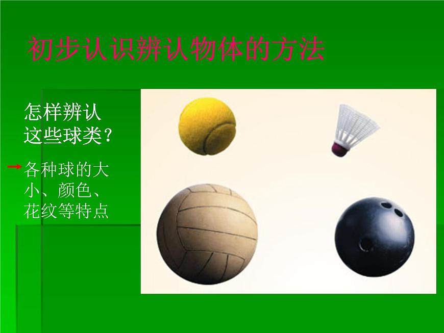 青島小學(xué)科學(xué)三上《4 怎樣認(rèn)識物體》PPT (6)課件第3頁