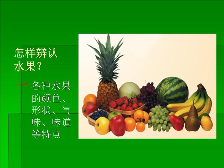 青島小學(xué)科學(xué)三上《4 怎樣認(rèn)識物體》PPT (6)課件第5頁