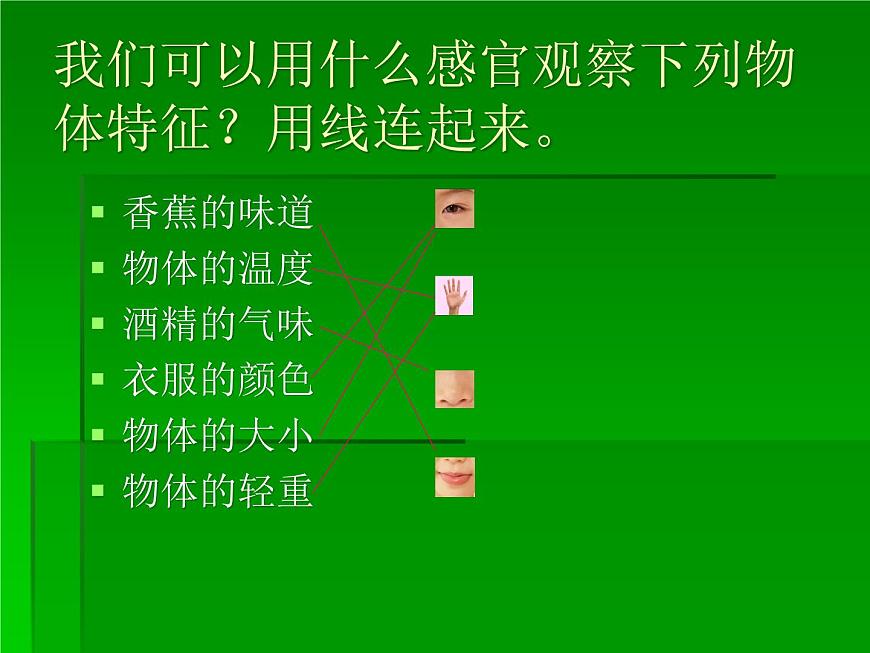 青島小學(xué)科學(xué)三上《4 怎樣認(rèn)識物體》PPT (6)課件第7頁