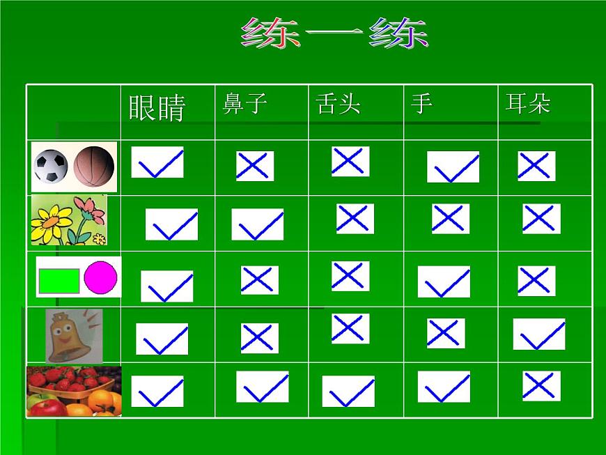 青島小學(xué)科學(xué)三上《4 怎樣認(rèn)識物體》PPT (6)課件第8頁