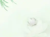青島小學科學三上《10 認識太陽》PPT課件