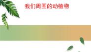 科学三年级上册3 我们身边的动植物授课ppt课件
