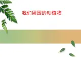 青岛小学科学三上《3 我们身边的动植物》PPT (1)课件