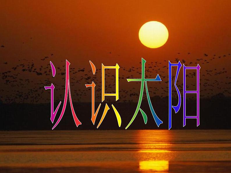 青岛小学科学三上《10 认识太阳》PPT (7)课件第5页