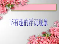 青岛小学科学三上《15有趣的浮沉现象》PPT (7)课件