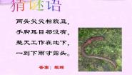 小学科学青岛版 (五四制)四年级下册15 蚯蚓找家示范课ppt课件