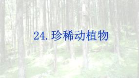 青岛版 (五四制)四年级下册20 珍稀动植物课文内容ppt课件