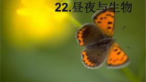 小学科学青岛版 (五四制)四年级下册22 昼夜与生物课文ppt课件
