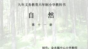小学科学青岛版 (五四制)四年级下册20 珍稀动植物图片课件ppt