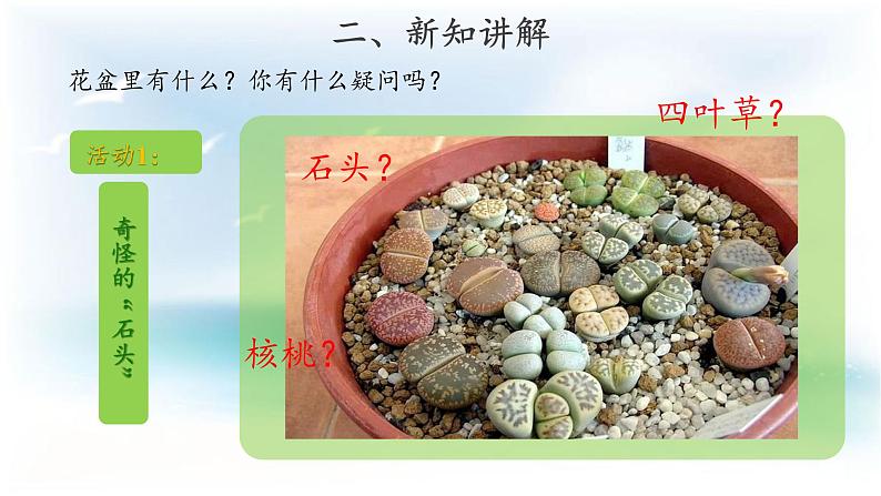 粤教版一年级上册科学1.2 我有好奇心(教案+课件)03