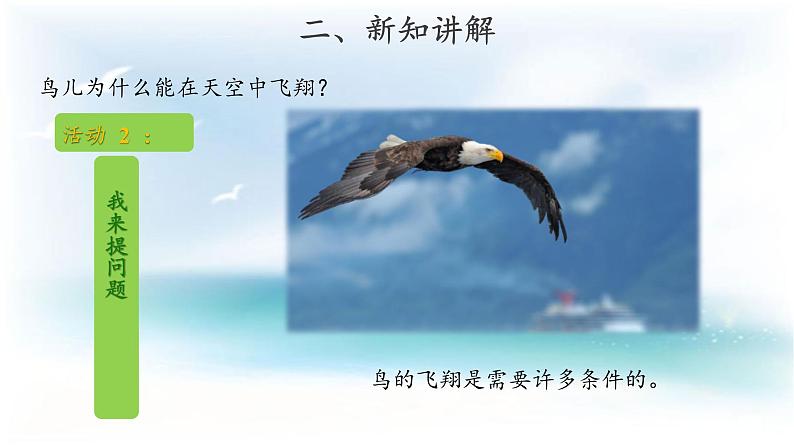 粤教版一年级上册科学1.2 我有好奇心(教案+课件)07