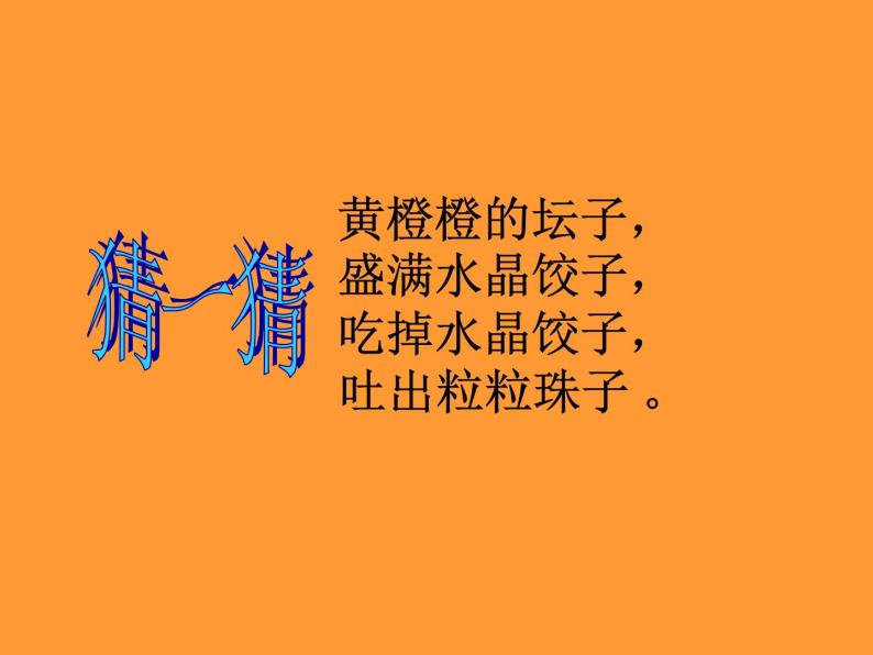 粤教版一年级上册科学2.6美味的水果（教案+课件）03