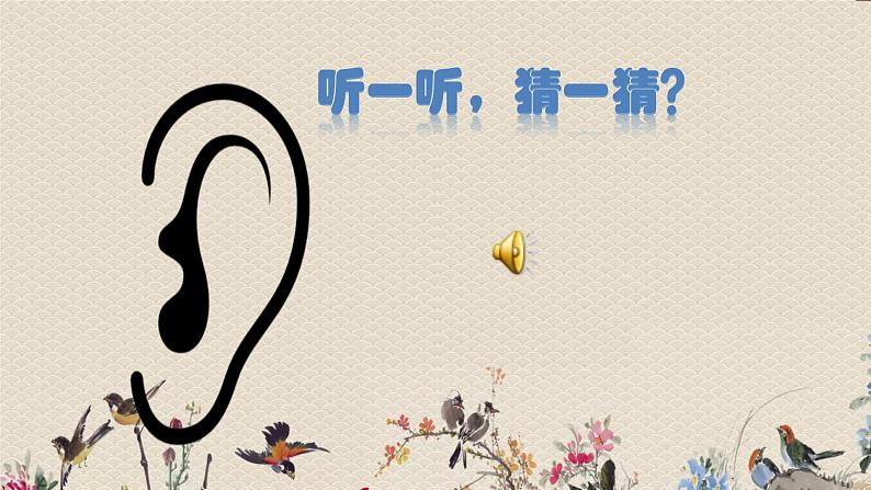 苏教版(2017)一年级上册科学 第三单元 用大脑思考《做 个 小 侦 探》课件01