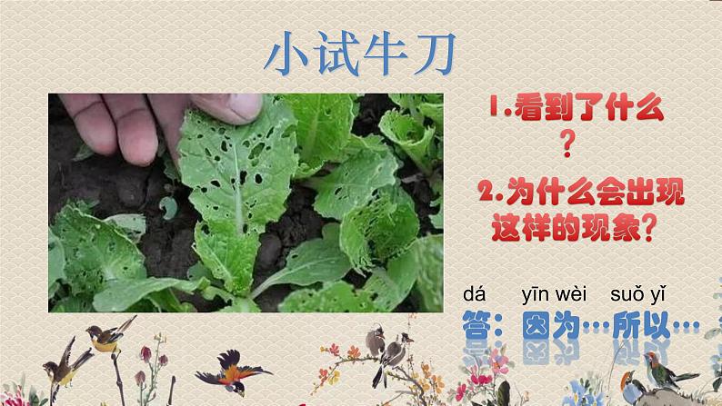 苏教版(2017)一年级上册科学 第三单元 用大脑思考《做 个 小 侦 探》课件05