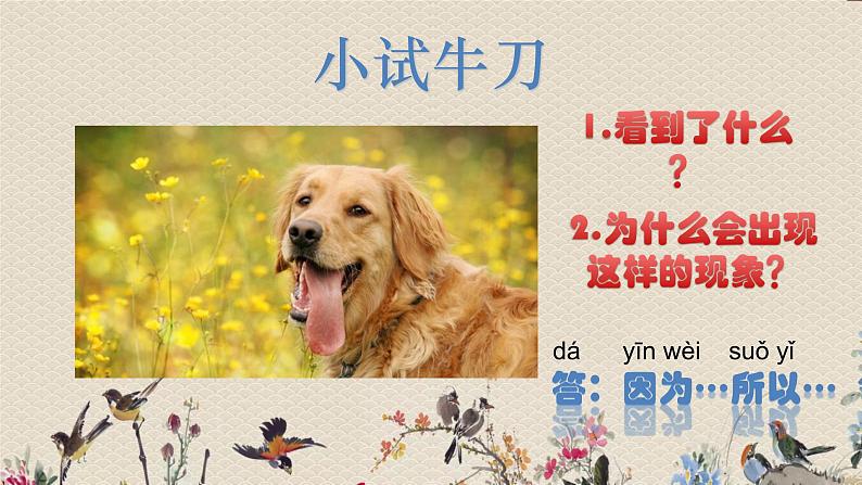 苏教版(2017)一年级上册科学 第三单元 用大脑思考《做 个 小 侦 探》课件06