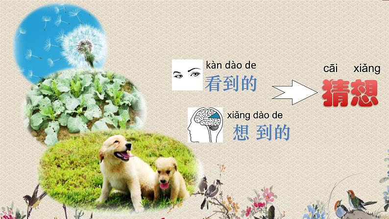 苏教版(2017)一年级上册科学 第三单元 用大脑思考《做 个 小 侦 探》课件07