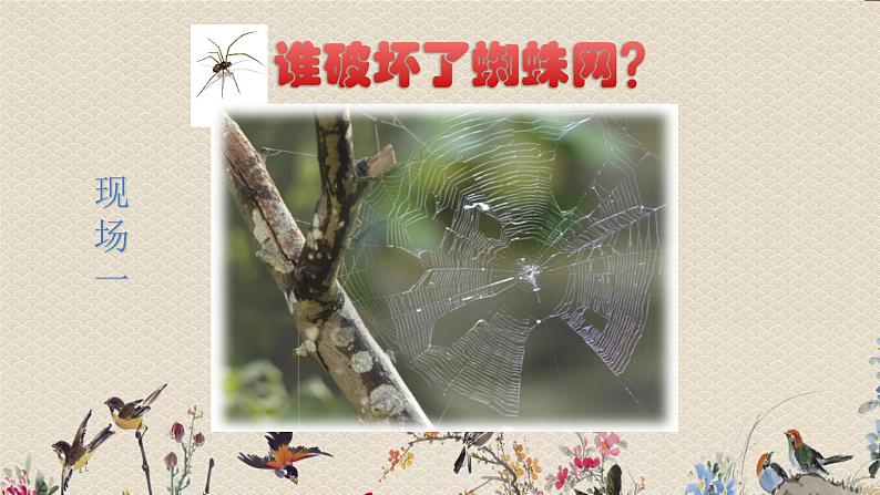 苏教版(2017)一年级上册科学 第三单元 用大脑思考《做 个 小 侦 探》课件08