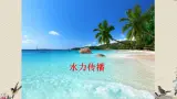苏教版四年级上册 科学第三单元 奇妙的声音王国《声音的传播》课件