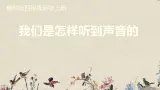 苏教版四年级上册 科学第三单元 奇妙的声音王国《我们是怎样听到声音的》课件
