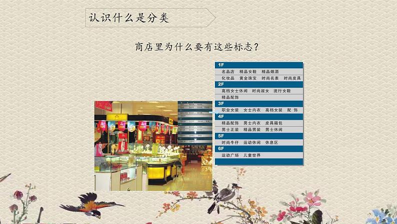 苏教版四年级上册 科学 第五单元 排序和分类《分类》课件第3页