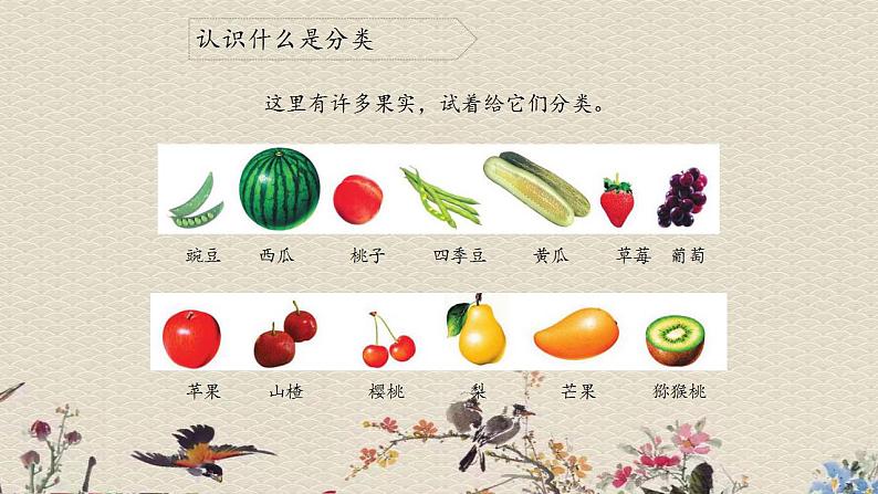 苏教版四年级上册 科学 第五单元 排序和分类《分类》课件第4页