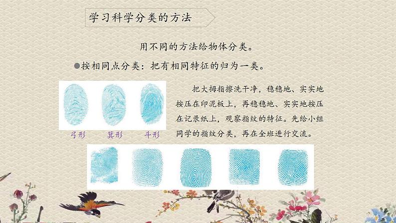 苏教版四年级上册 科学 第五单元 排序和分类《分类》课件第7页
