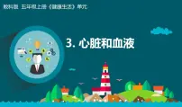 小学科学教科版 (2017)五年级上册3.心脏和血液背景图课件ppt
