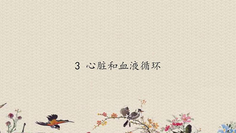 苏教版五年级上册 科学 第四单元 呼吸和血液循环 《心脏和血液循环》课件第1页