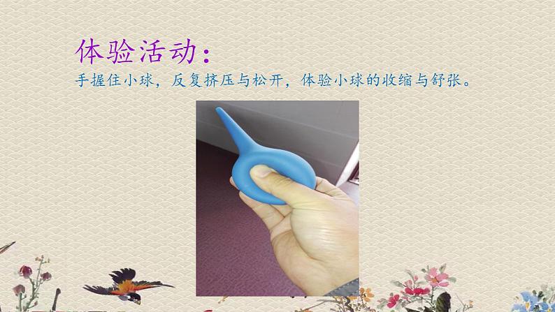 苏教版五年级上册 科学 第四单元 呼吸和血液循环 《心脏和血液循环》课件第4页