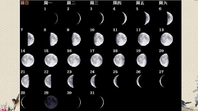青岛版（六三制2017）二年级上册 科学 第二单元 太阳和月亮《看月亮》课件07