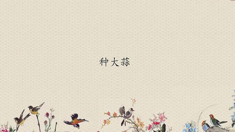 青岛版(六三制2017)二年级上册 科学 第三单元 植物与环境《种大蒜》课件第1页
