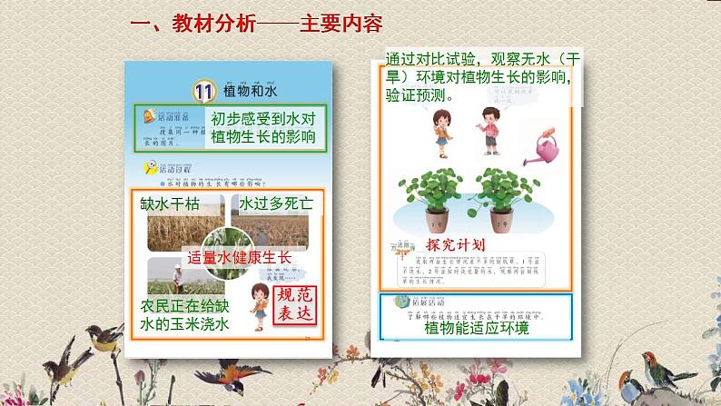 青岛版(六三制2017)二年级上册 科学 第三单元 植物与环境《植物和水》课件02