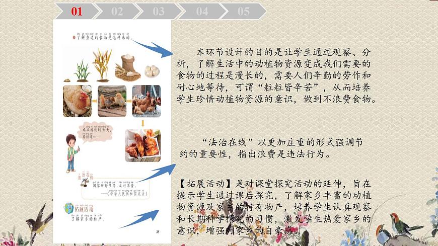 青島版(六三制2017)二年級上冊 科學 第四單元 生活中的動植物資源《我們的食物》課件第3頁