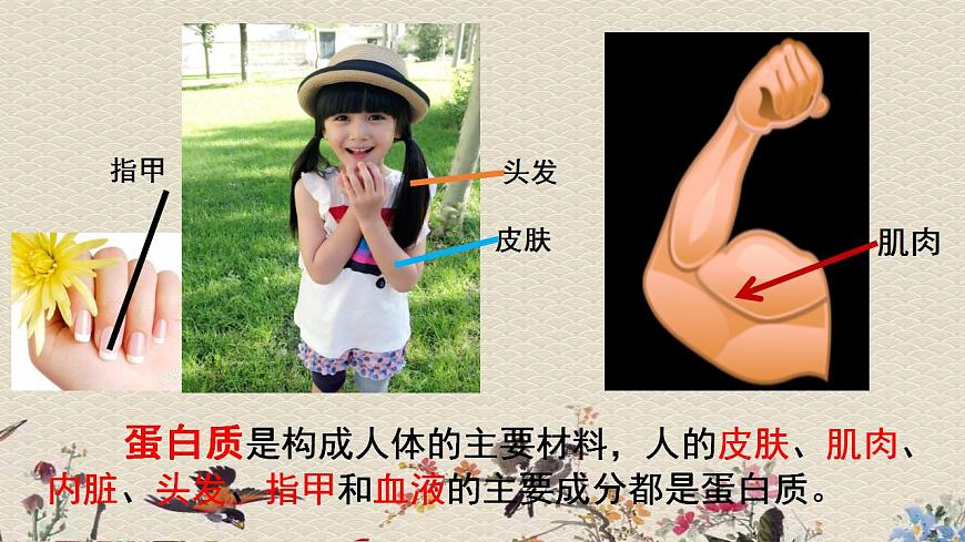 青島版（六三制）四年級上冊 科學(xué) 第一單元 我們吃什么《我們的營養(yǎng)》課件第8頁