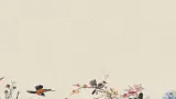 青岛版（六三制）三年级上册 科学 第四单元 天气与我们的生活《 一周的天气》课件