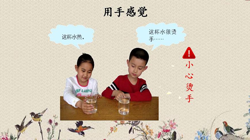 青島版（六三制）三年級上冊 科學 第二單元 我們怎么知道《哪杯水熱》課件第3頁
