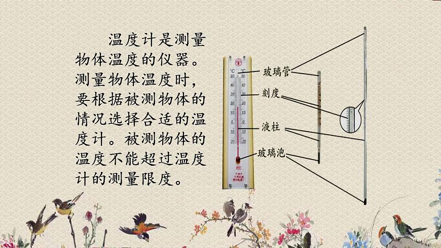 青島版（六三制）三年級上冊 科學 第二單元 我們怎么知道《哪杯水熱》課件第5頁